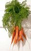 Carrot tops for health!