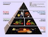 The infamous food pyramid