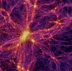 Universe neurons...